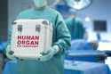 Azərbaycanda son bir ildə 11 meyitdən orqan köçürülməsi həyata keçirilib