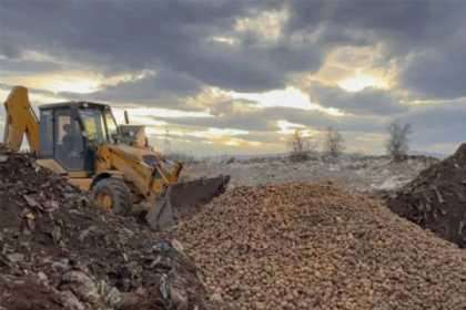 Gürcüstan və Türkiyədən gətirilən 73 tondan çox toxumluq kartof məhv edilib