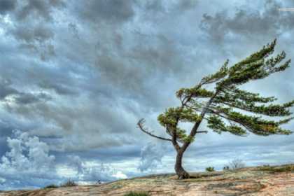 Külək güclənəcək - XƏBƏRDARLIQ