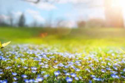 Mayın ilk gününün HAVA PROQNOZU