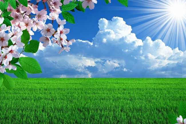 Sabahın hava proqnozu açıqlanıb