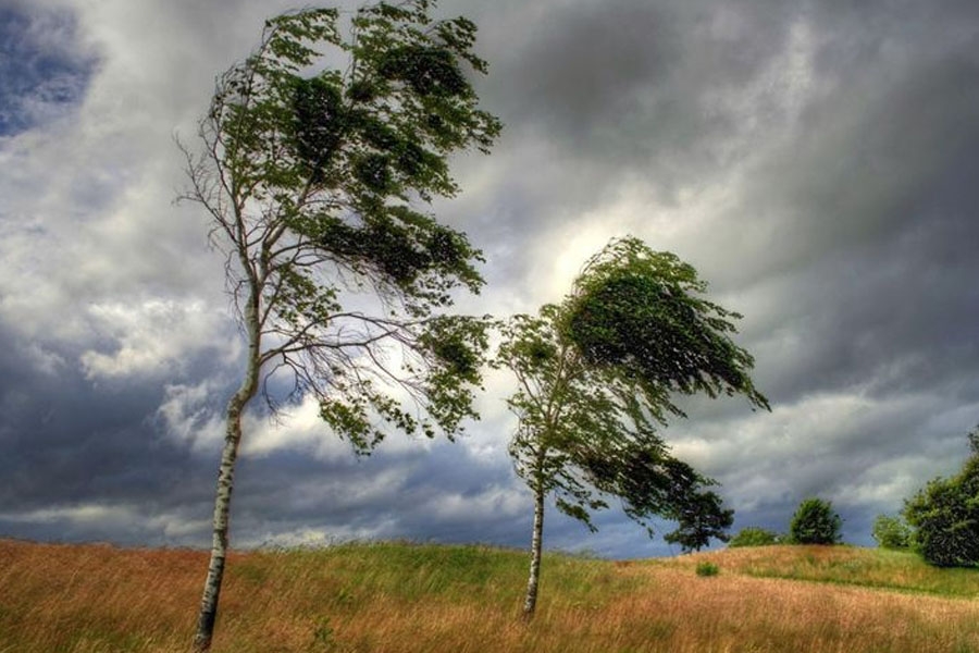 Azərbaycanda külək güclənəcək - XƏBƏRDARLIQ