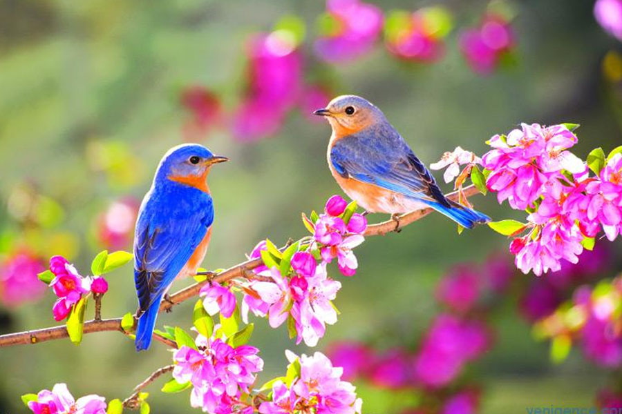 Yaz fəslinin Azərbaycana daxil olacağı vaxt açıqlanıb